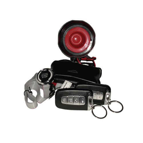 استارتر زنوتیک